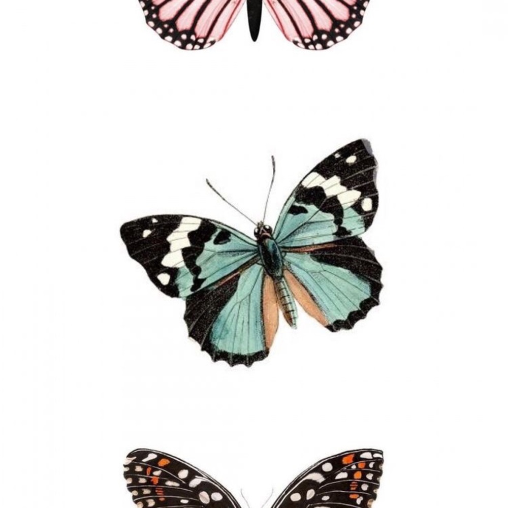 Meet your Posher, Cynthia